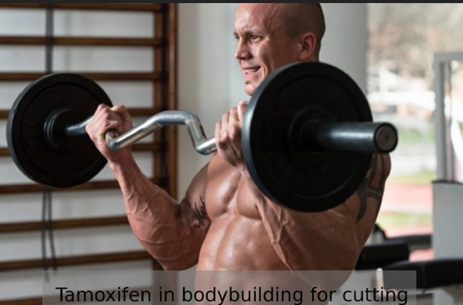 Tamoxifen in bodybuilding for cutting