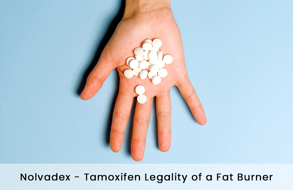 Nolvadex – Tamoxifen Legality of a Fat Burner