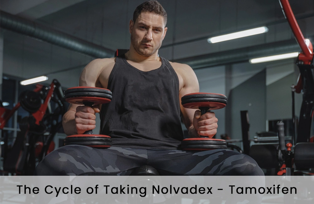 Cycle of taking Nolvadex