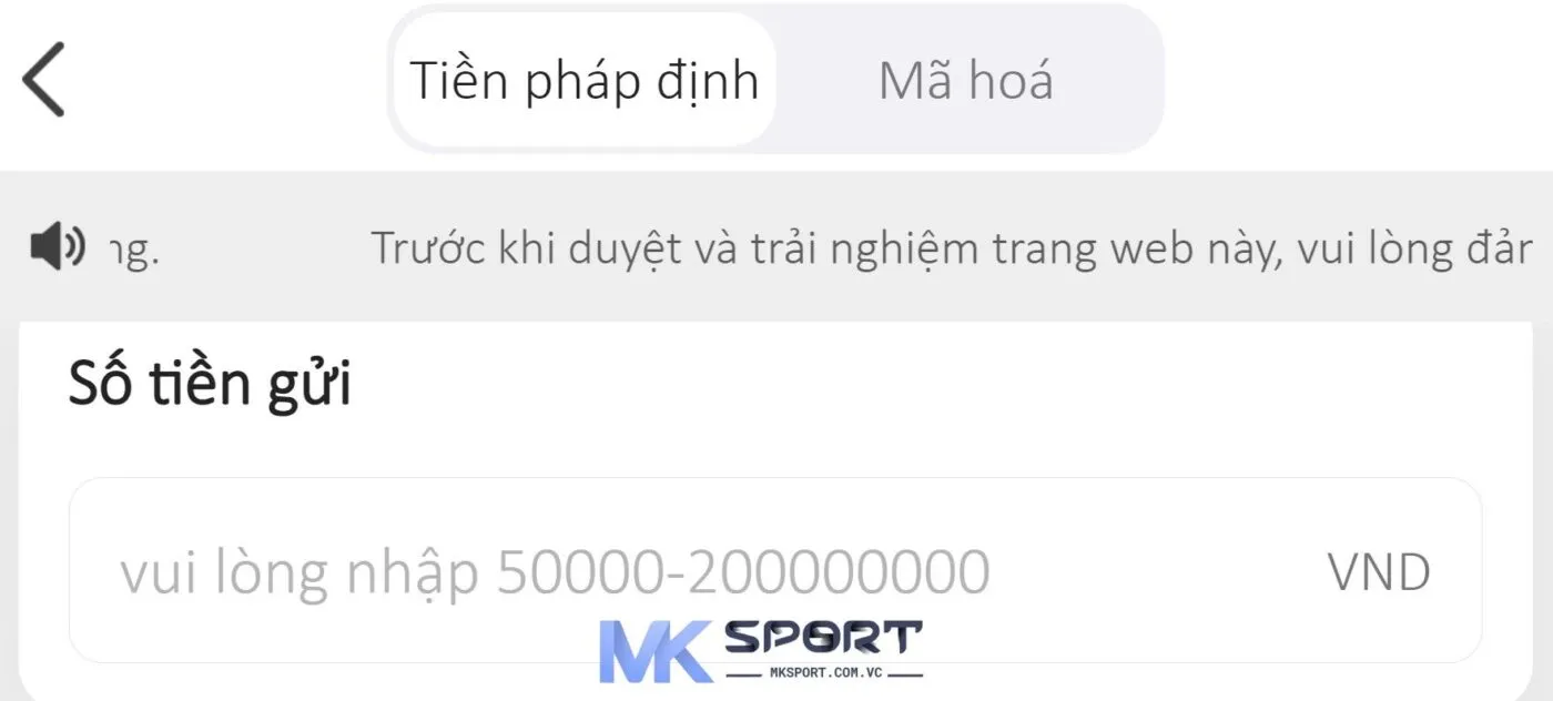 Người chơi điền số tiền muốn nạp vào tài khoản